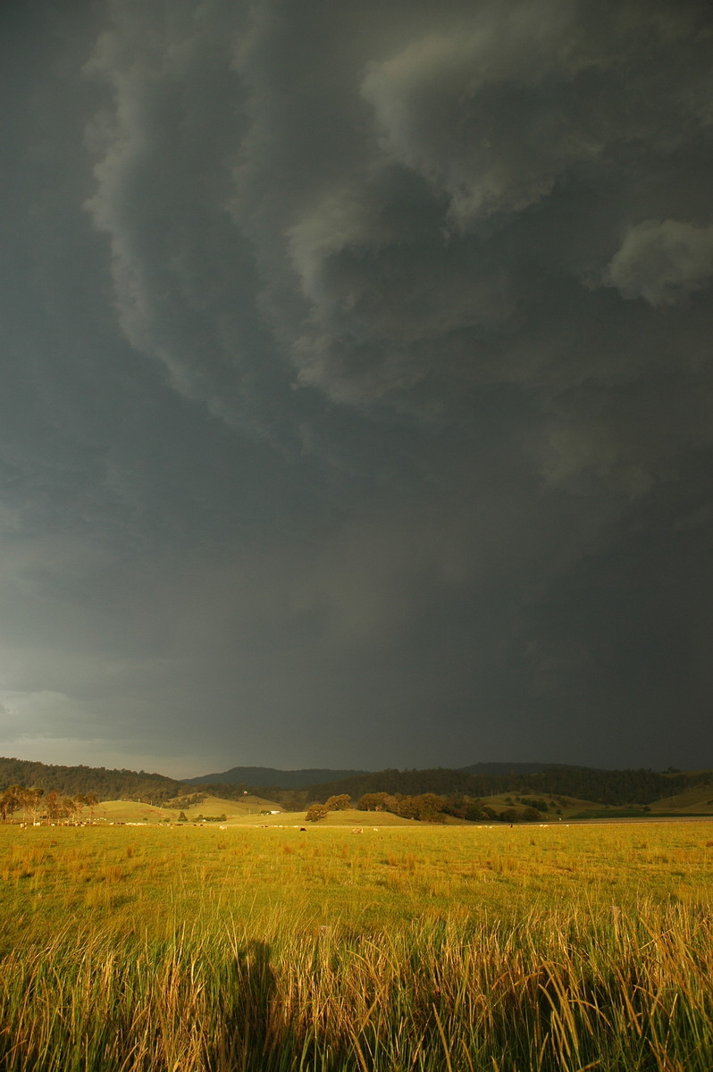 cumulonimbus thunderstorm_base : S of Kyogle, NSW   29 November 2006