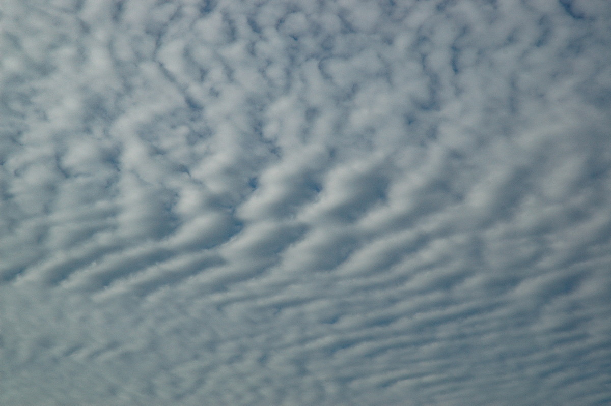 favourites michael_bath : McLeans Ridges, NSW   1 December 2006