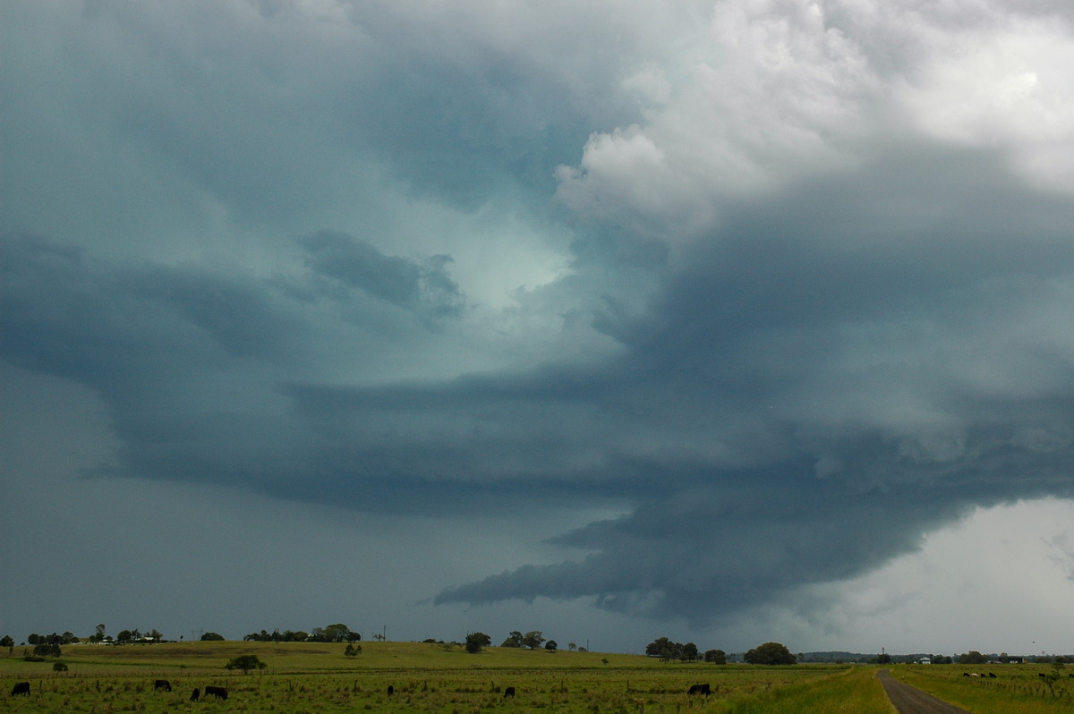 inflowband thunderstorm_inflow_band : McKees Hill, NSW   14 December 2006