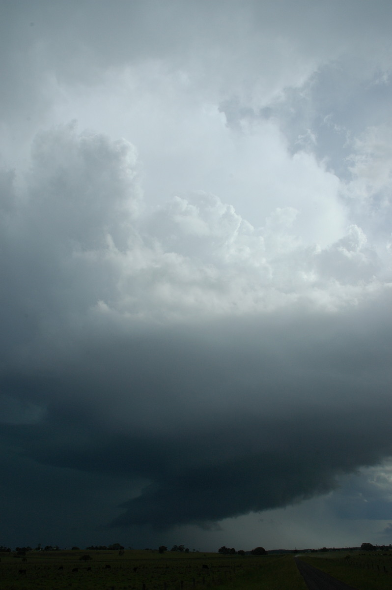 cumulonimbus thunderstorm_base : McKees Hill, NSW   14 December 2006