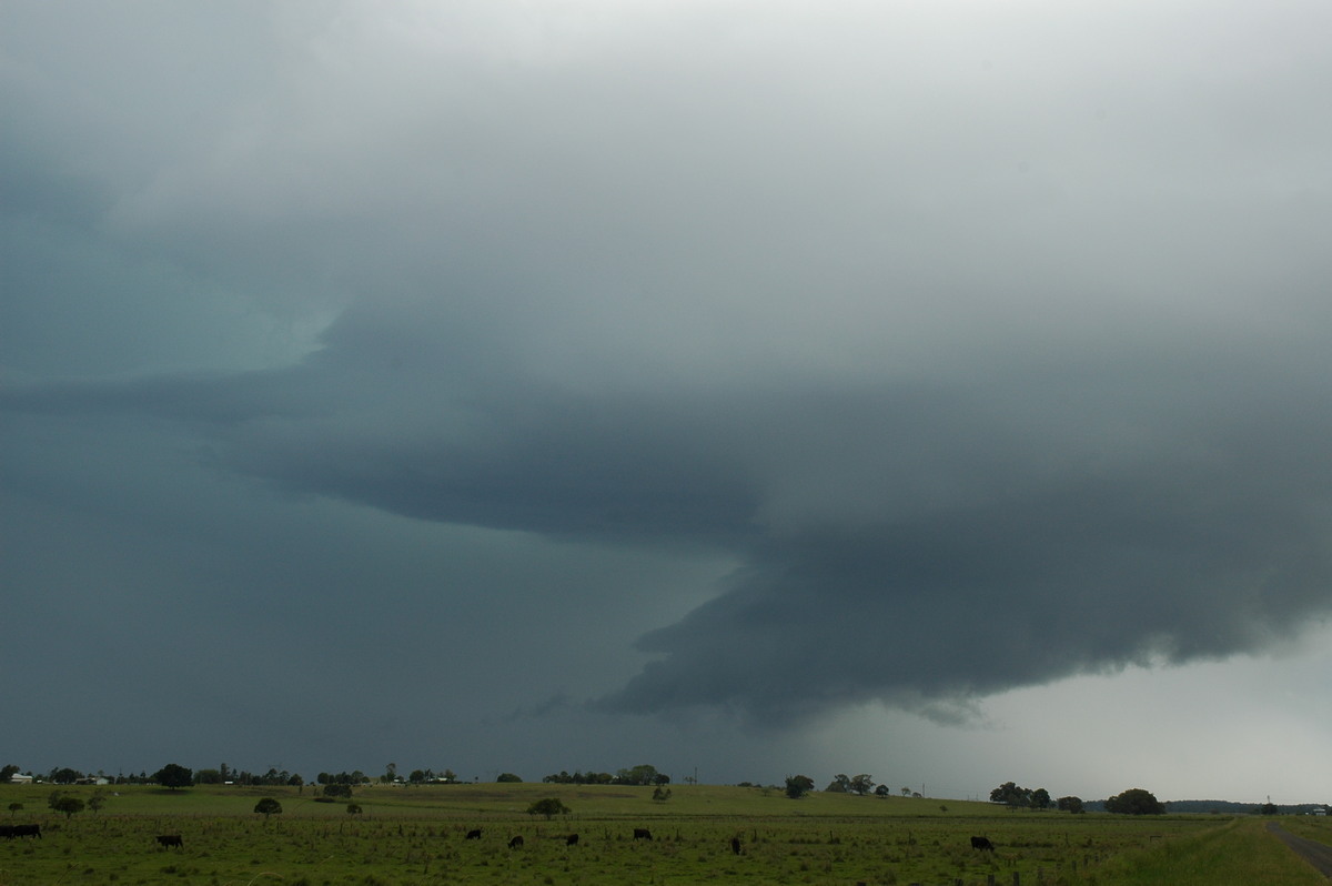 inflowband thunderstorm_inflow_band : McKees Hill, NSW   14 December 2006