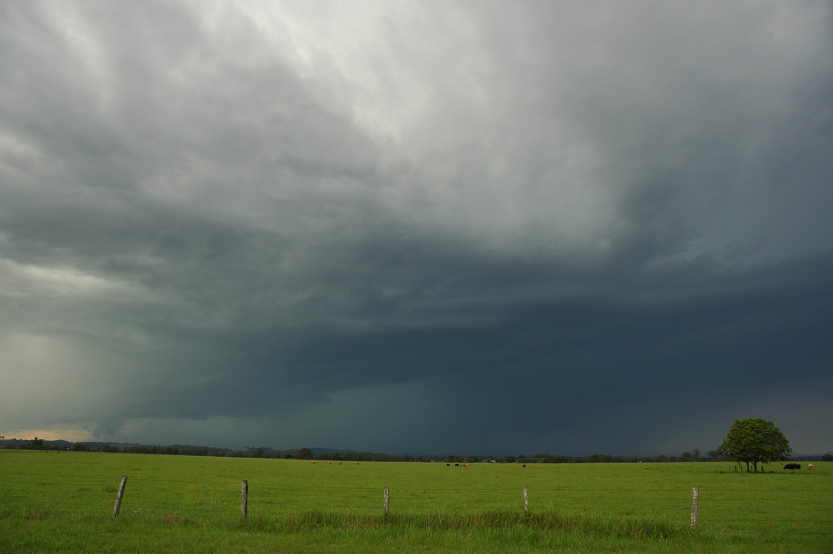 cumulonimbus thunderstorm_base : N of Casino, NSW   15 December 2006