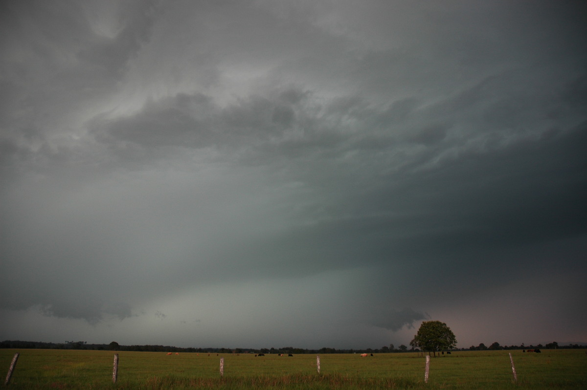 cumulonimbus thunderstorm_base : N of Casino, NSW   15 December 2006