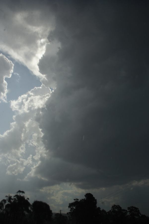 cumulonimbus thunderstorm_base : N of Hilltop, NSW   28 December 2006