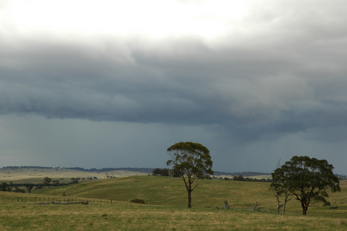 cumulonimbus thunderstorm_base : near Ebor, NSW   31 December 2006