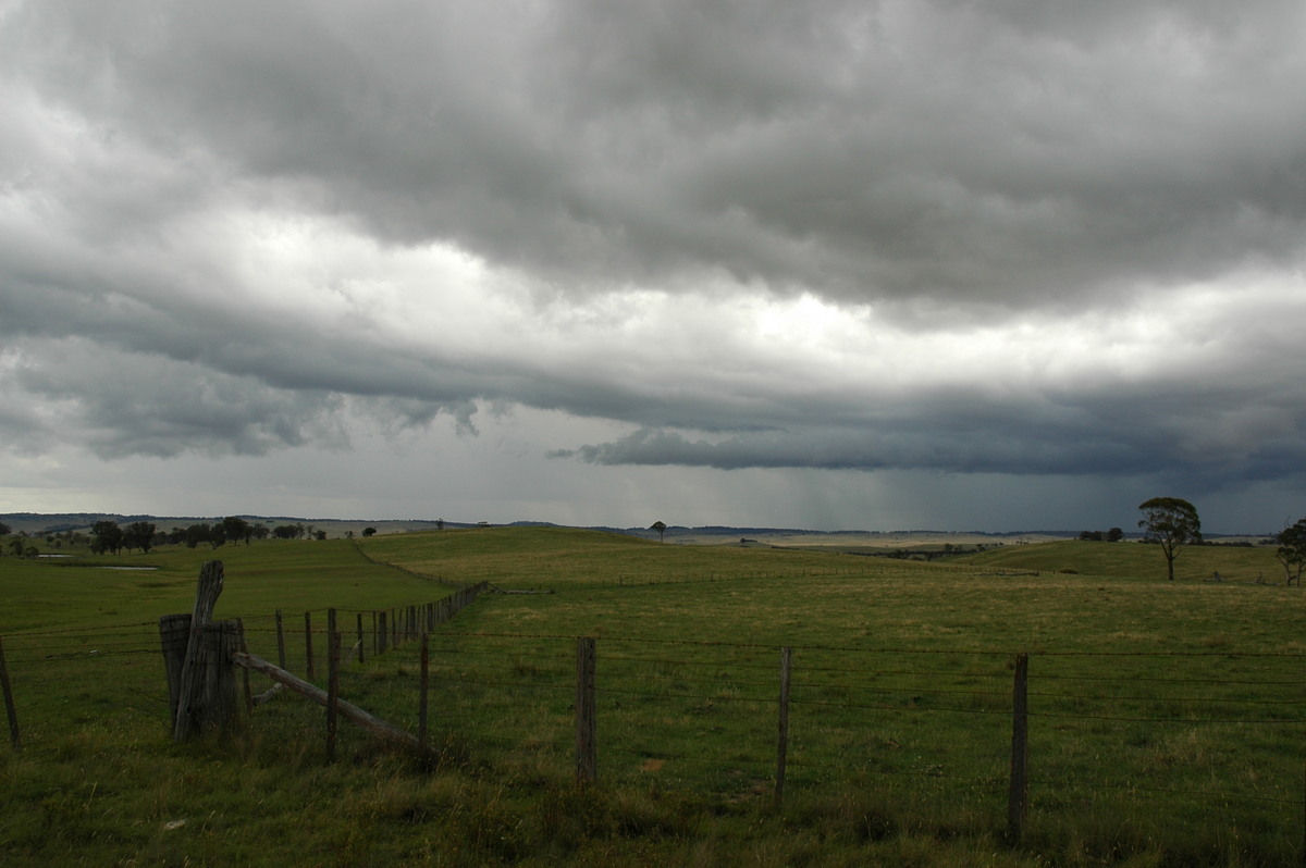 cumulonimbus thunderstorm_base : near Ebor, NSW   31 December 2006