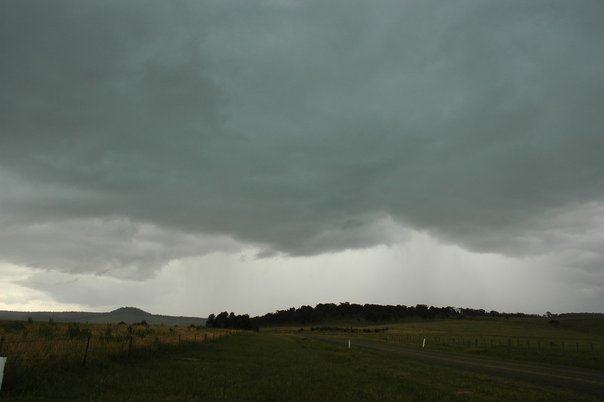 cumulonimbus thunderstorm_base : near Ebor, NSW   31 December 2006