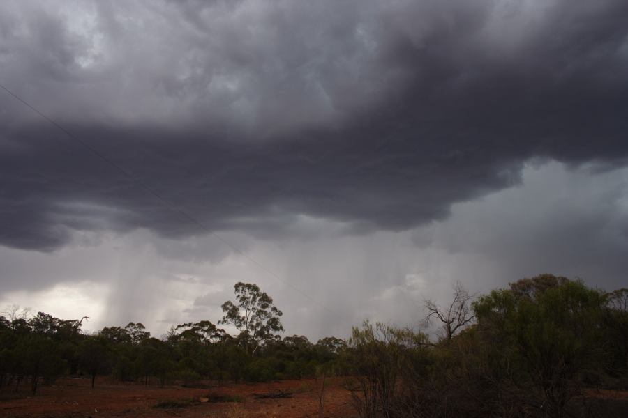 cumulonimbus thunderstorm_base : 30km E of Cobar, NSW   1 January 2007