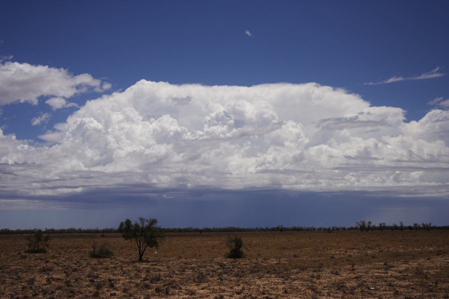 thunderstorm cumulonimbus_incus : ~20km N of Barringun, NSW   2 January 2007