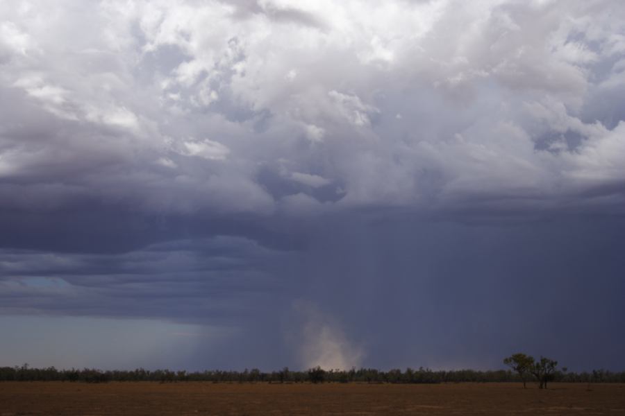 raincascade precipitation_cascade : ~30km N of Barringun, NSW   2 January 2007