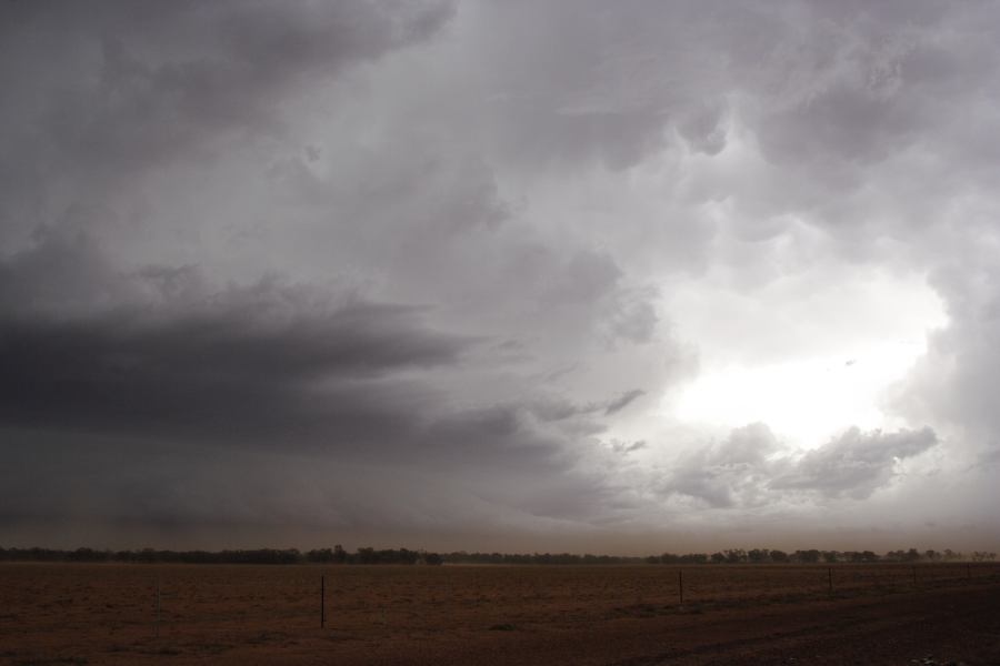 cumulonimbus supercell_thunderstorm : 10km N of Barringun, NSW   2 January 2007