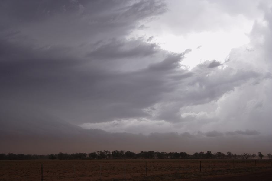 shelfcloud shelf_cloud : 10km N of Barringun, NSW   2 January 2007