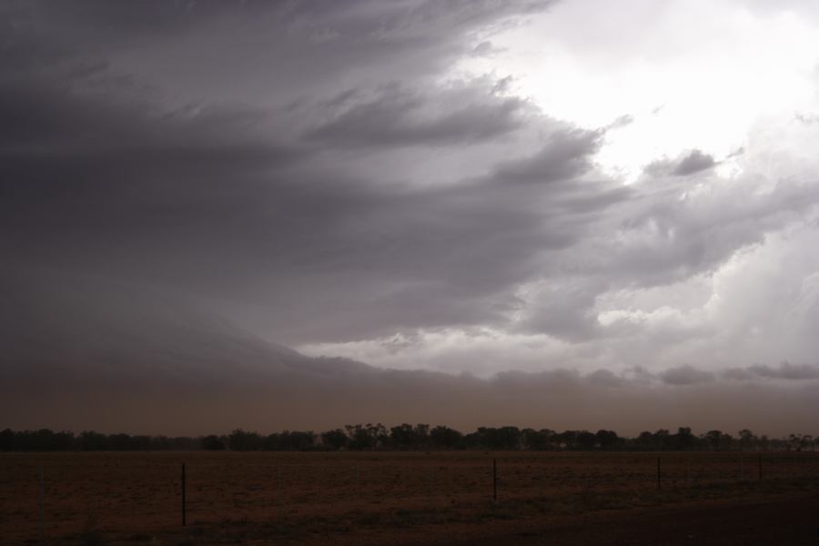 cumulonimbus supercell_thunderstorm : 10km N of Barringun, NSW   2 January 2007