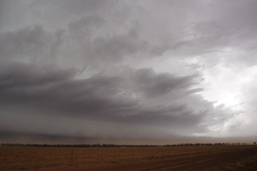 shelfcloud shelf_cloud : 10km N of Barringun, NSW   2 January 2007