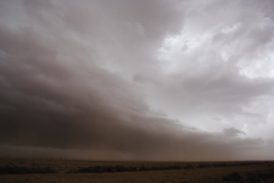 shelfcloud shelf_cloud : 30km N of Barringun, NSW   2 January 2007