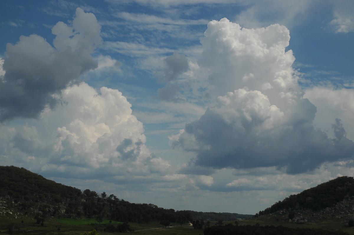 cumulus congestus : Tenterfield, NSW   12 January 2007