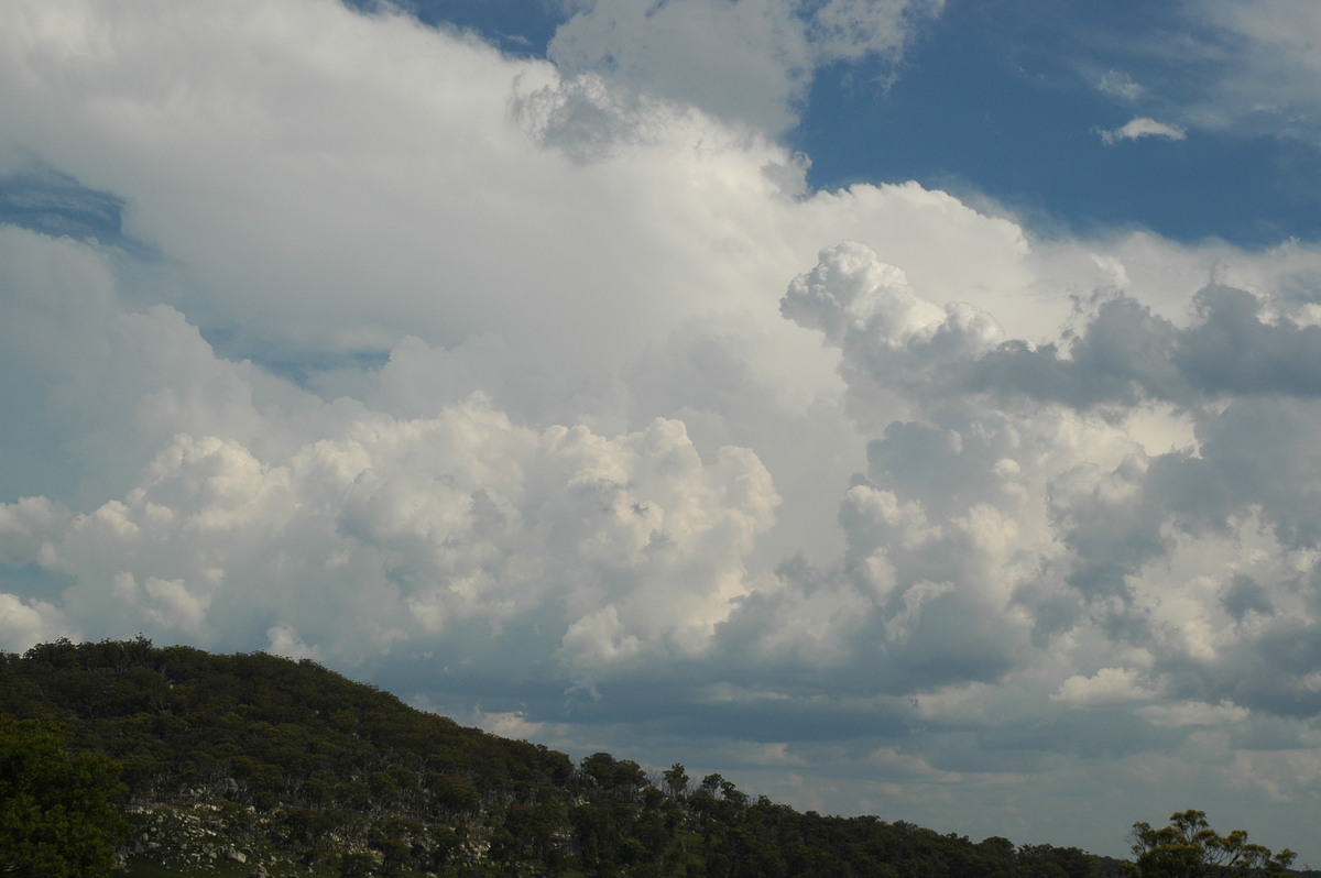 cumulus congestus : Tenterfield, NSW   12 January 2007