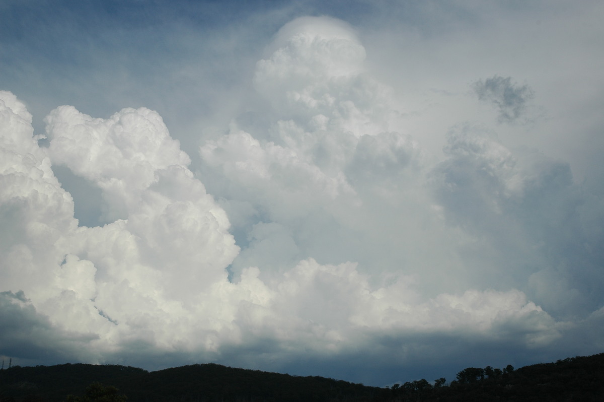 pileus pileus_cap_cloud : Tenterfield, NSW   12 January 2007