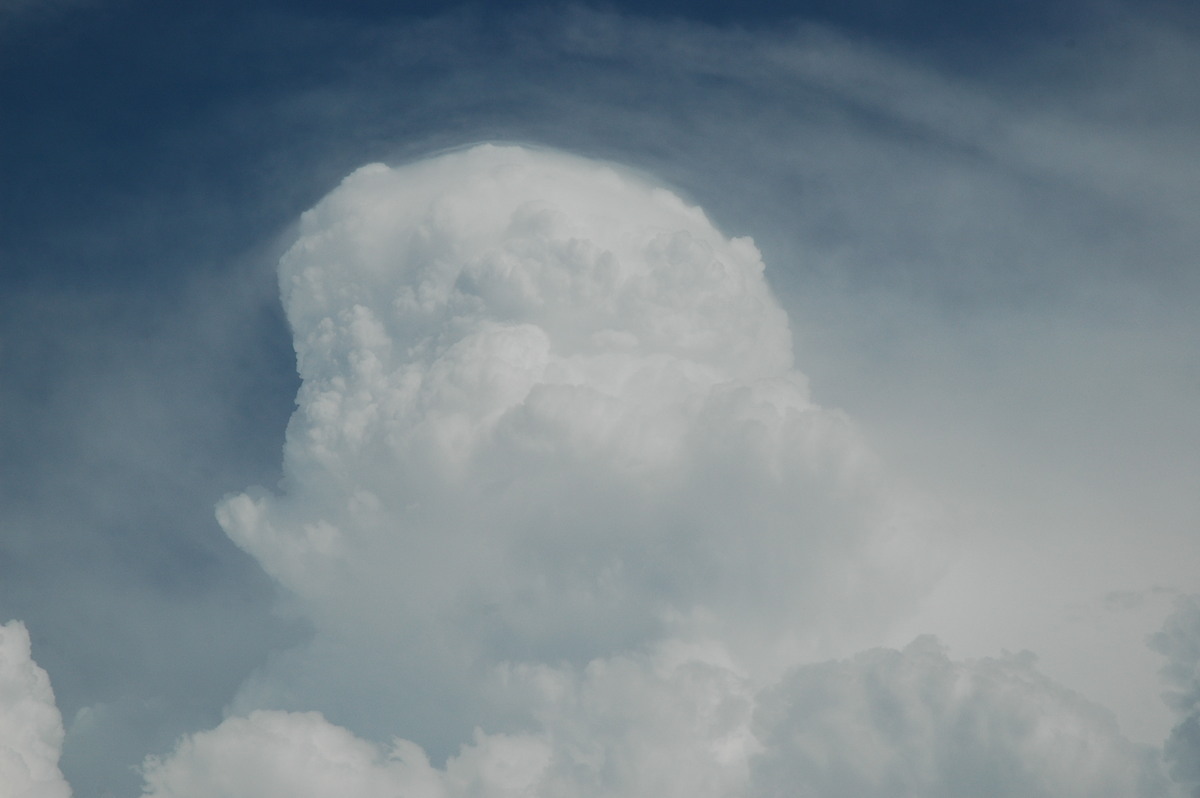 pileus pileus_cap_cloud : Tenterfield, NSW   12 January 2007