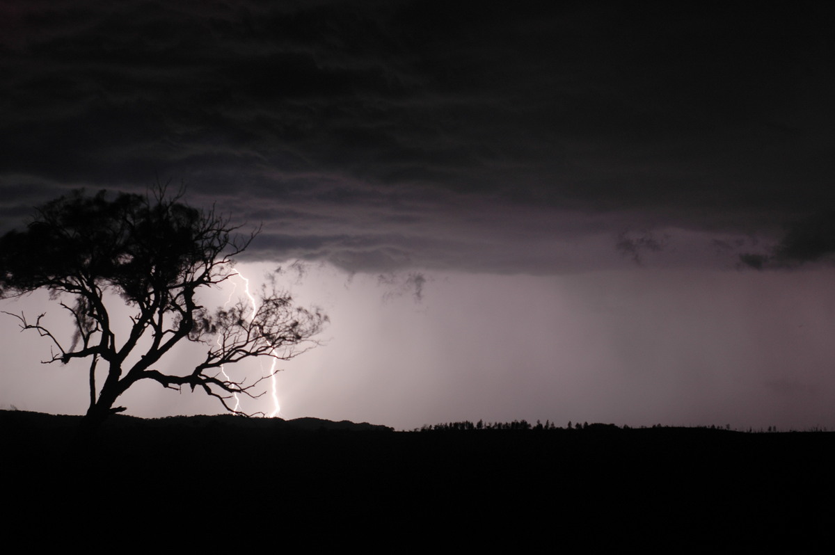 lightning lightning_bolts : W of Tenterfield, NSW   12 January 2007