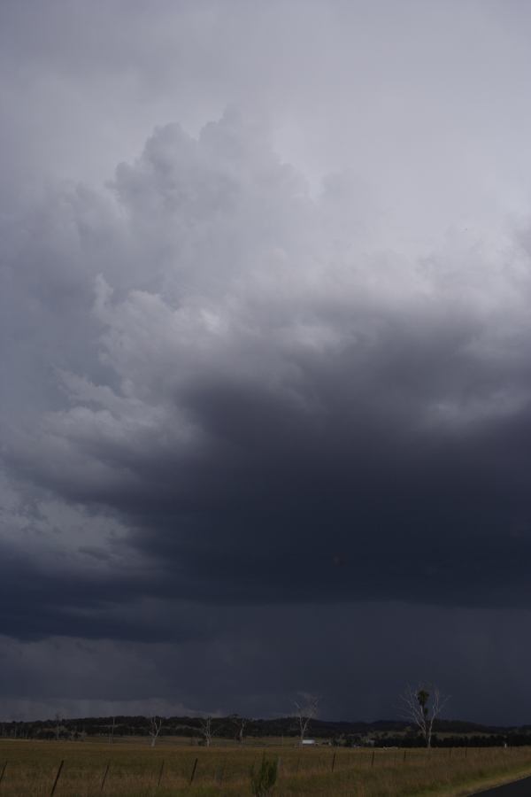 cumulonimbus thunderstorm_base : Deepwater, NSW   13 January 2007