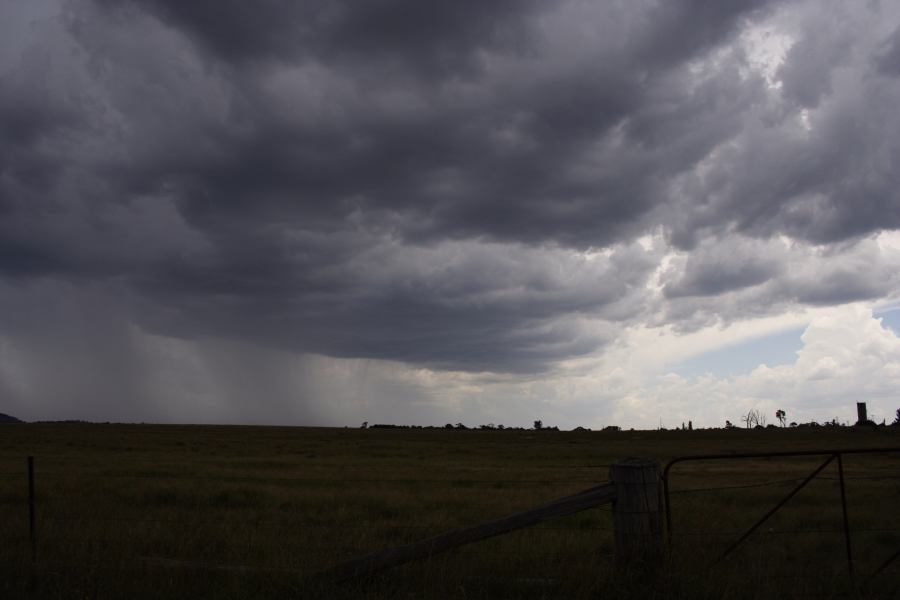 cumulonimbus thunderstorm_base : Deepwater, NSW   13 January 2007