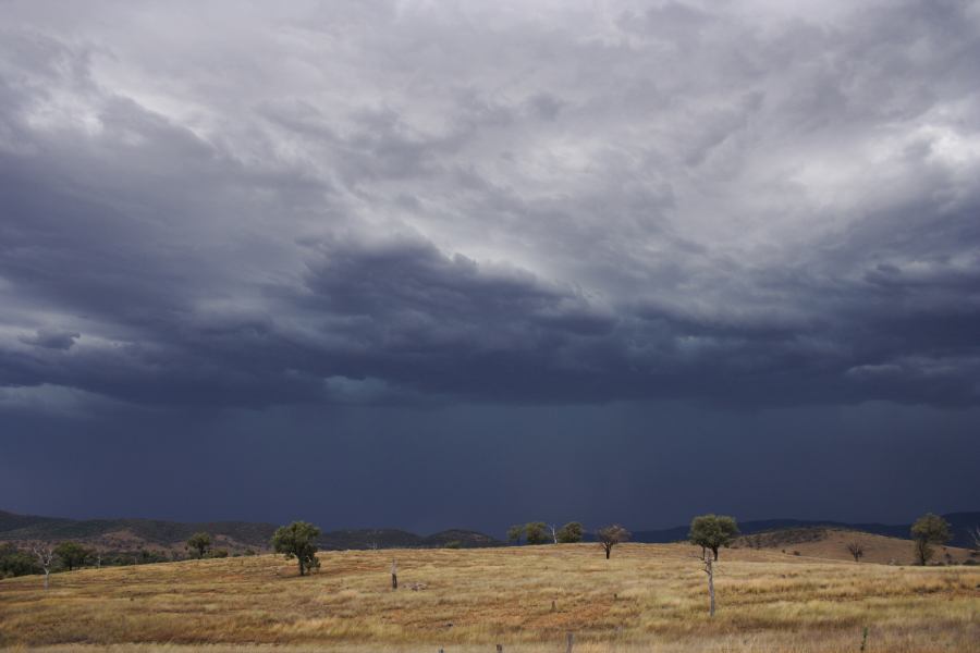 cumulonimbus thunderstorm_base : near Bonshaw, NSW   13 January 2007