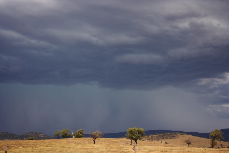 cumulonimbus thunderstorm_base : near Bonshaw, NSW   13 January 2007