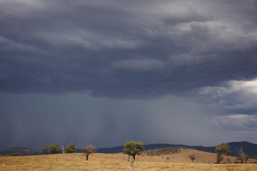 cumulonimbus thunderstorm_base : near Bonshaw, NSW   13 January 2007