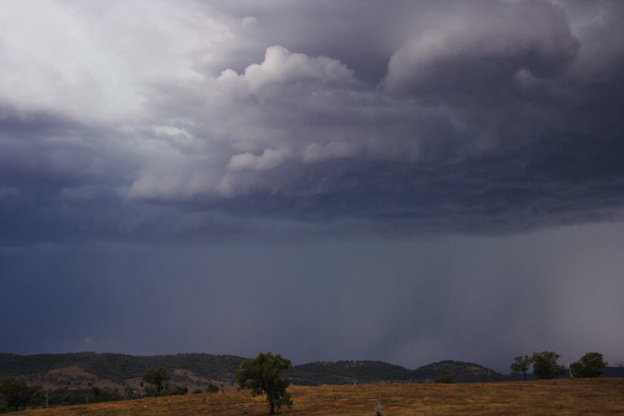 cumulonimbus thunderstorm_base : near Bonshaw, NSW   13 January 2007