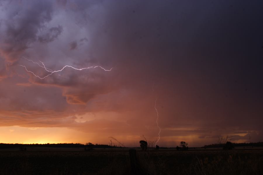 lightning lightning_bolts : ~ 40km N of Inglewood, QLD   13 January 2007