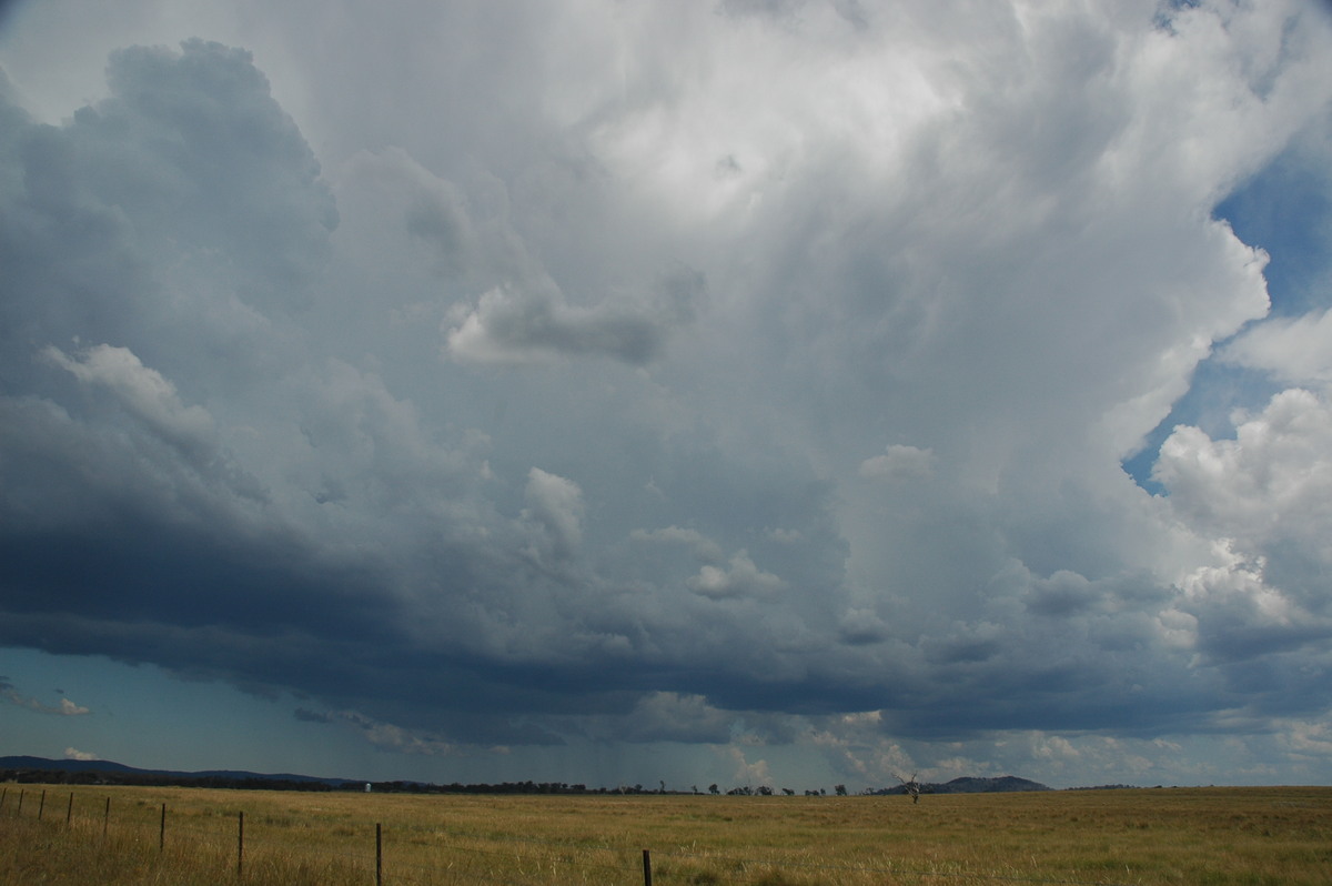 cumulonimbus thunderstorm_base : Deepwater, NSW   13 January 2007