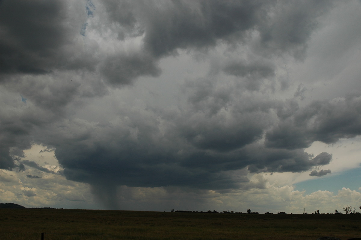 raincascade precipitation_cascade : Deepwater, NSW   13 January 2007