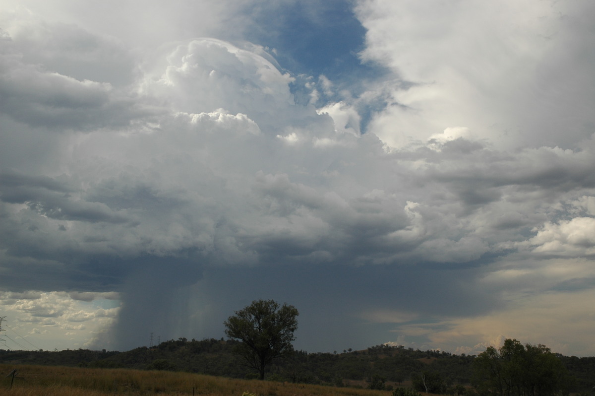 raincascade precipitation_cascade : near Bonshaw, NSW   13 January 2007