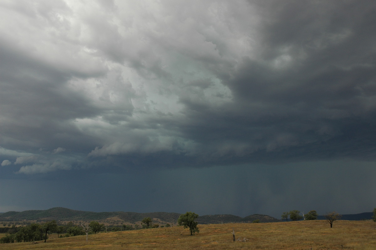 cumulonimbus thunderstorm_base : near Bonshaw, NSW   13 January 2007