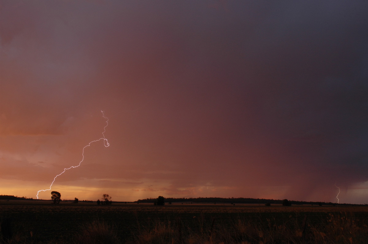 lightning lightning_bolts : near Milmerran, QLD   13 January 2007