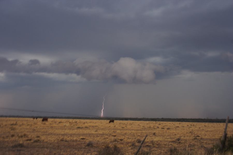 shelfcloud shelf_cloud : 40km N of Goondiwindi, NSW   14 January 2007