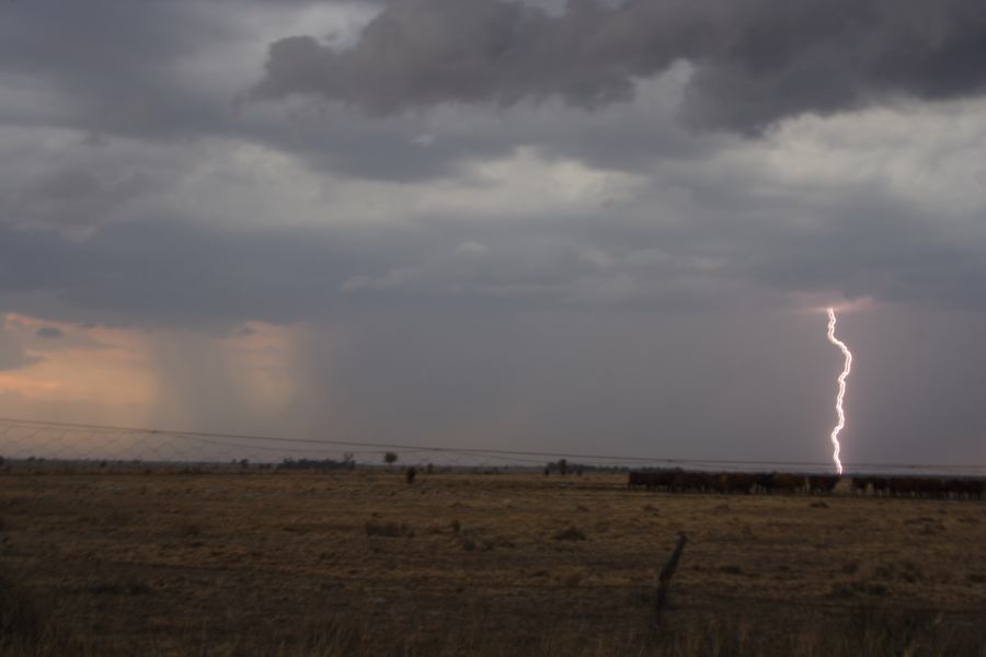 lightning lightning_bolts : 40km N of Goondiwindi, QLD   14 January 2007