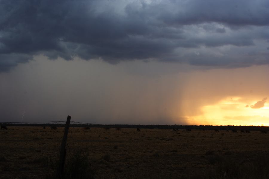 sunset sunset_pictures : 40km N of Goondiwindi, QLD   14 January 2007