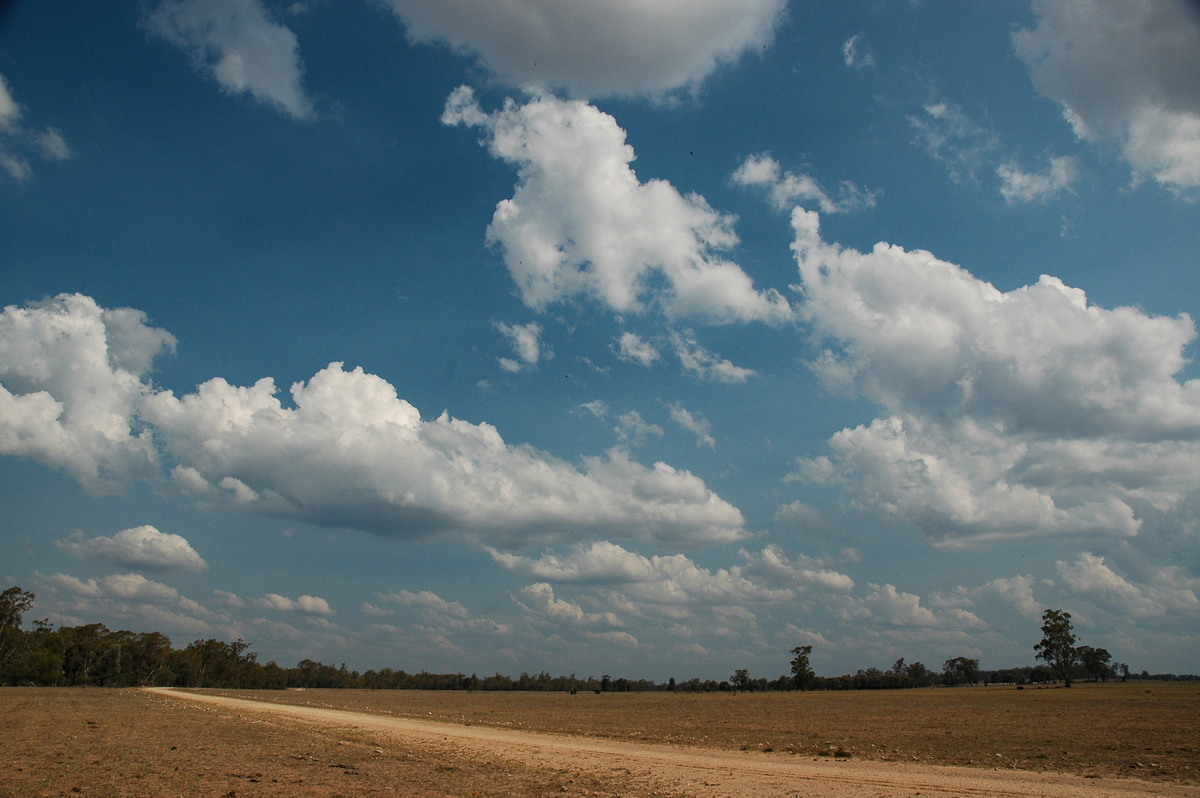 favourites michael_bath : SW of Milmerran, QLD   14 January 2007