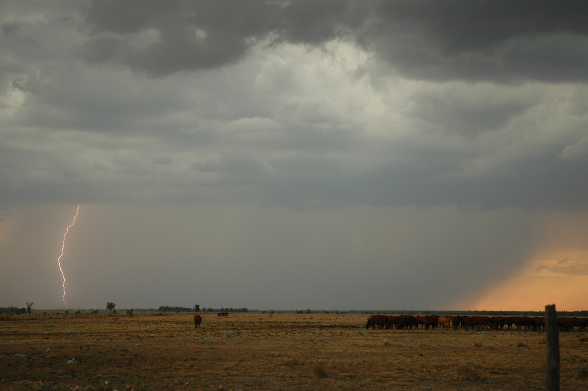 lightning lightning_bolts : N of Goodiwindi, QLD   14 January 2007