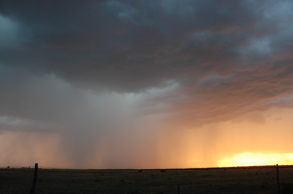 sunset sunset_pictures : N of Goodiwindi, QLD   14 January 2007