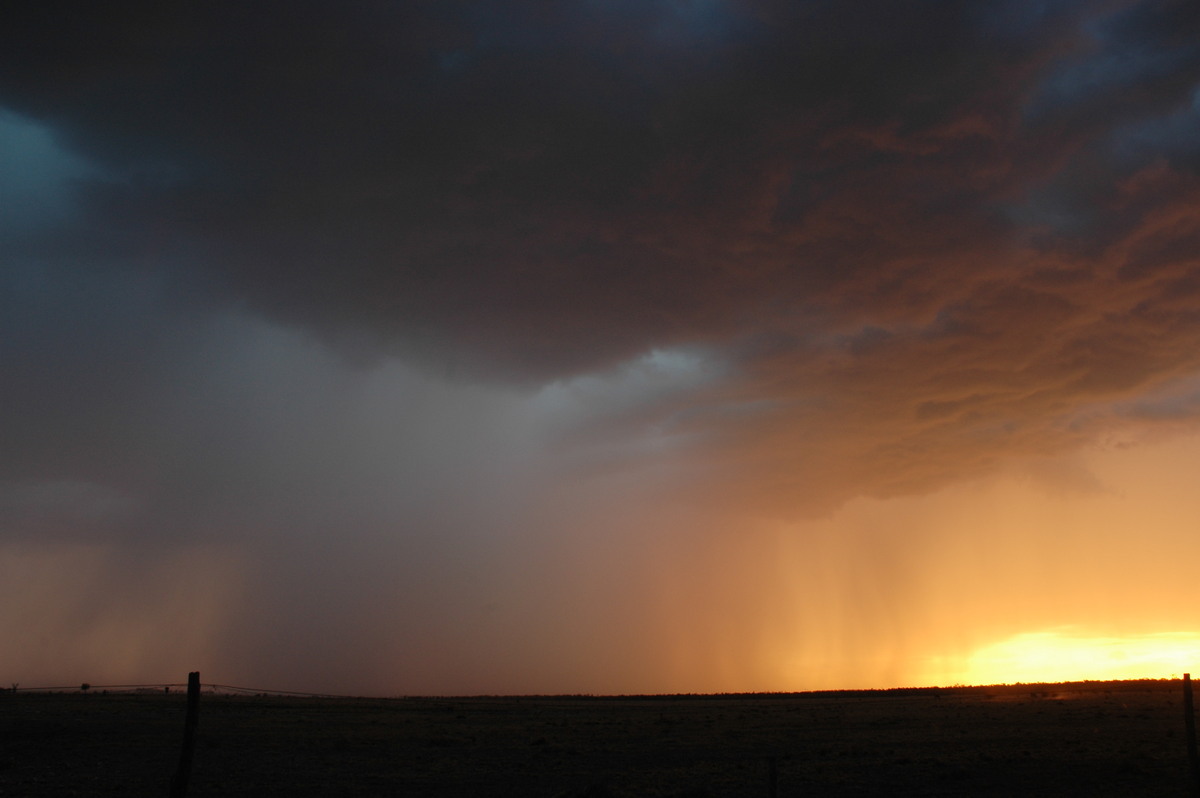 sunset sunset_pictures : N of Goodiwindi, QLD   14 January 2007