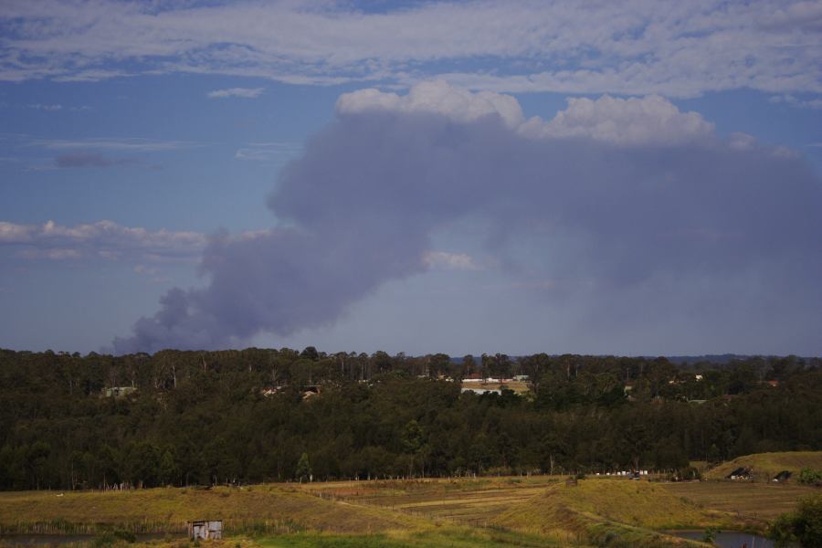 bushfire wild_fire : Schofields, NSW   21 January 2007