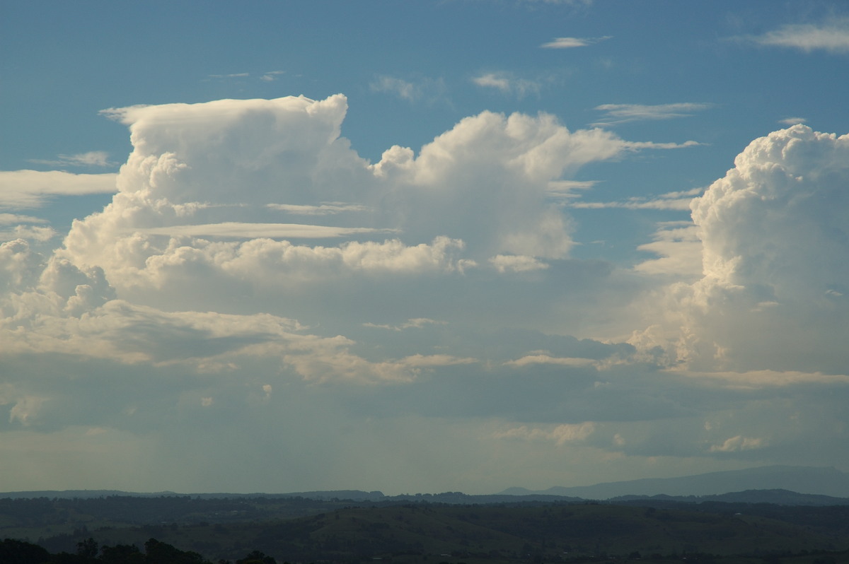 pileus pileus_cap_cloud : McLeans Ridges, NSW   22 January 2007