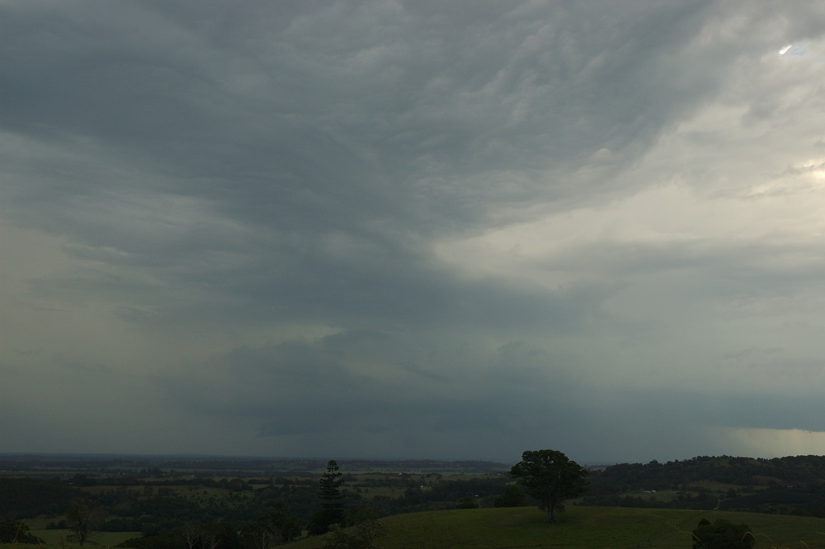 cumulonimbus thunderstorm_base : Wyrallah, NSW   24 January 2007