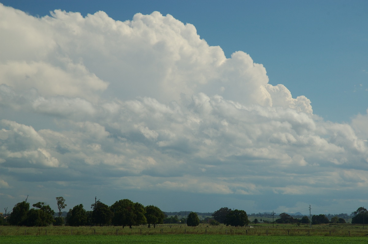 thunderstorm cumulonimbus_incus : near Grafton, NSW   26 January 2007