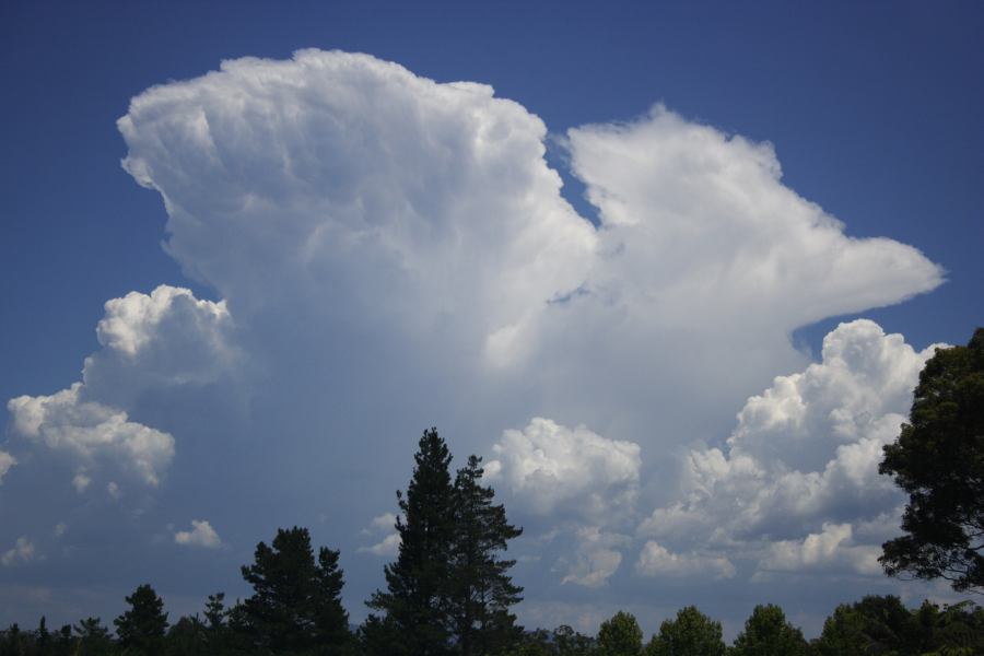 thunderstorm cumulonimbus_incus : Bilpin, NSW   3 February 2007