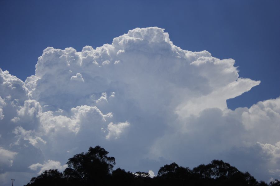 updraft thunderstorm_updrafts : near Sunny Corner, NSW   3 February 2007