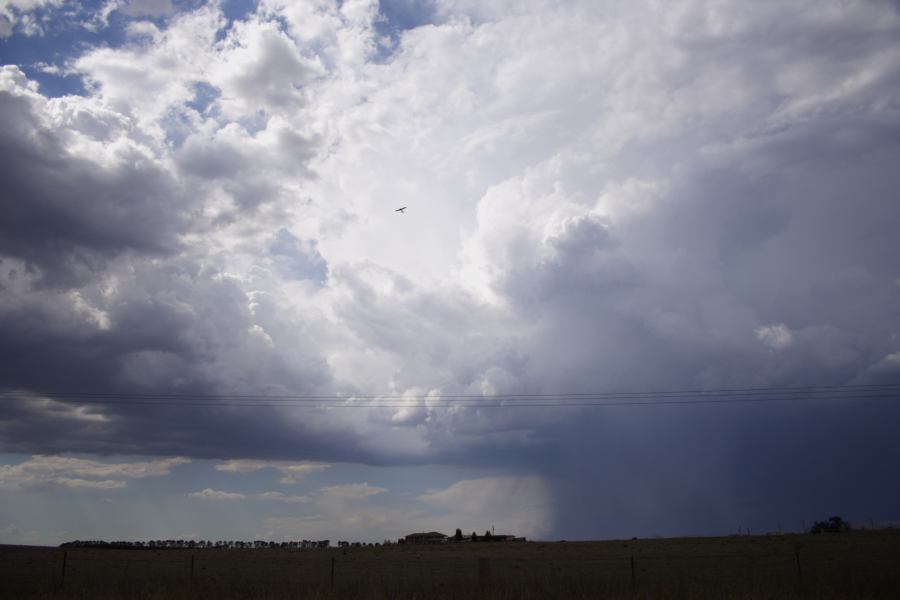 thunderstorm cumulonimbus_incus : E of Bathurst, NSW   3 February 2007